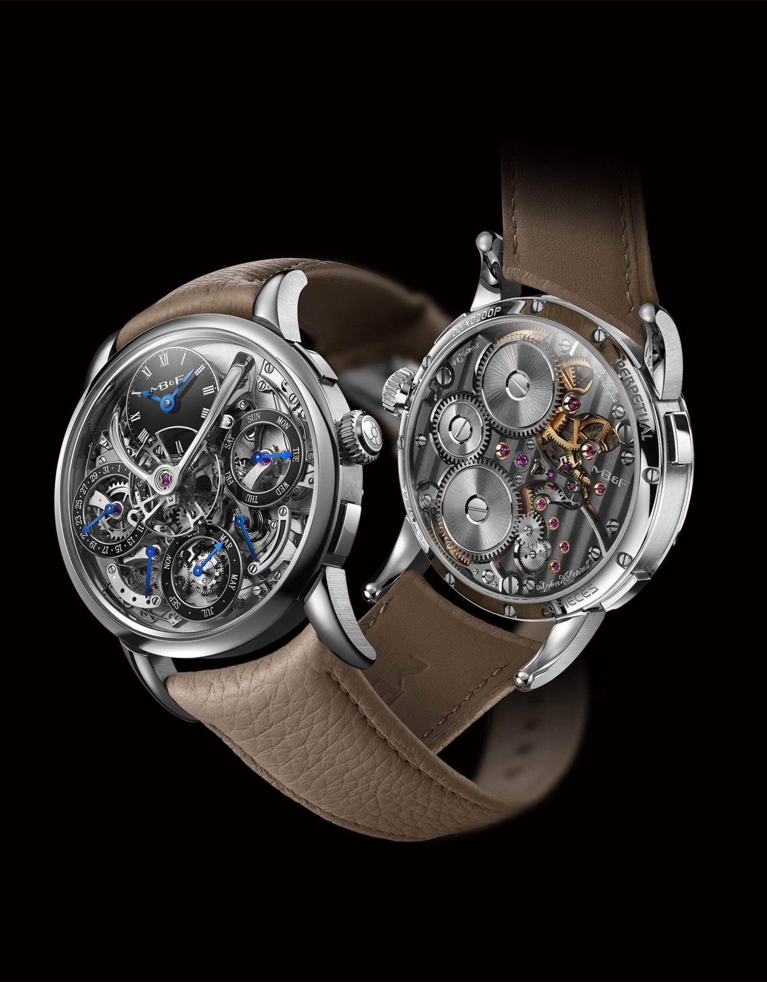 low_res_MBandF_LM_Perpetual_Longhorn_Hres